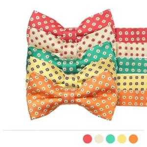 [콩심팥심]신상 보타이 오피스룩 멋쟁이 기본 면접 면 사무실