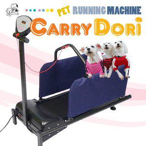 캐리도리 애완동물 전동 런닝머신 중형/대형견 강아지,고양이,개,다이어트,산책,운동 워킹머신