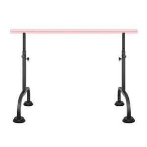 발레대 탄츠 댄스 학원 연습실 트레이닝 레그 프레스