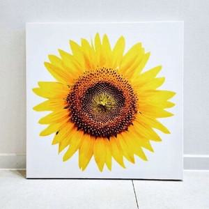들어오는 해바라기 액자 해바라기그림 꽃송이 큰