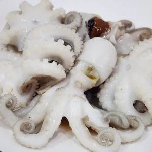 급냉 활 쭈꾸미 1kg