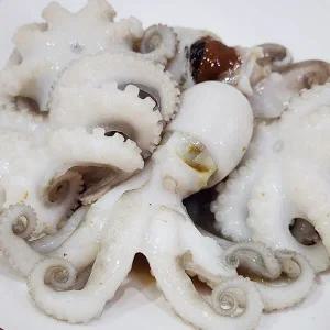 급냉 활 쭈꾸미 1kg