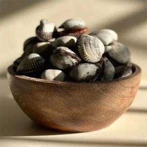 국내산 새꼬막 2kg 중