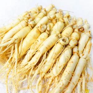 가정용 햇 수삼 세척인삼 원삼 [실속] 24-32편 600g