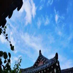 [경상] 경주 보문 숲머리 독채 민박(경상숙소/경주숙소)