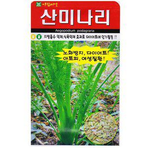 [영농사]산미나리씨앗 400립 종자