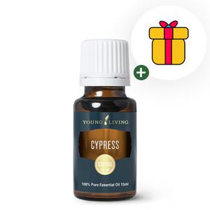 영리빙 사이프레스 에센셜오일 15ml  글로벌넘버원 선물팡팡 