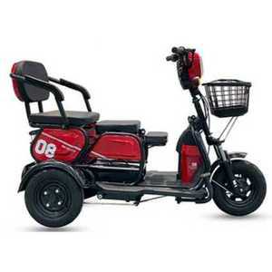 세발 전기 자전거 어르신 소형 바구니 효도 장보기 카