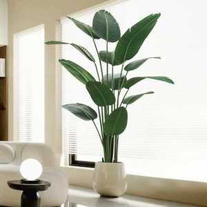 인조 화분 대형 인테리어 몬스테라 나무 카페 조경