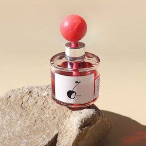 체리타임 디퓨저 차량용 실내용 120ml (WFFQ9OM)