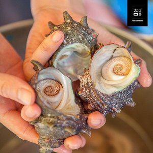 [신세계라이브쇼핑]참다른 자연산 뿔소라 1kg 8미 내외