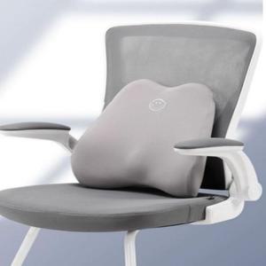 [BZJLSI4I_51AQ]디비전 등받이쿠션 허리받침 사이언스