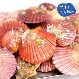 [롯데백화점]인정식탁 남해바다 국내산 가리비 3kg