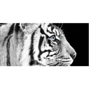 대형 명화 그림 DIY 호랑이 40x80 거실명화 (WFGWSBF)