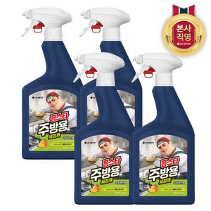 홈스타 주방용 세정제 900ml 4개