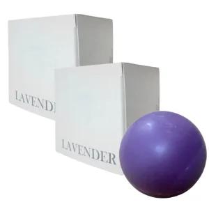 솝24 라벤더가든 올인원 샴푸바 2개 비누 soap24