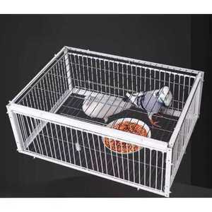 비둘기포획틀 케이지 짐승 야생돌물 야외 오리 포획기