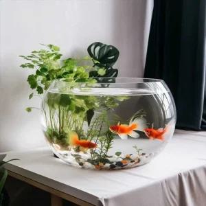 대형 둥근 어항 유리 라운드 투명 수족관 수조