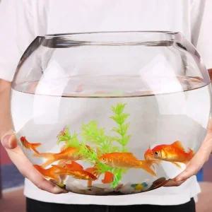 둥근 유리 어항 대형 원형 관상어 민물통 직경 25CM 25CM 노출수조 인테리어