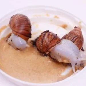 애플스네일먹이 명주달팽이 물달팽이 키우기 먹이