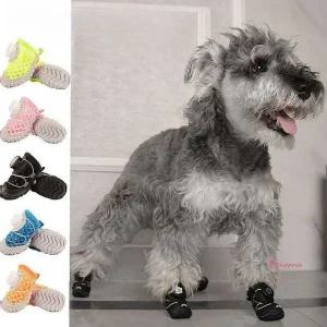 콩쓰몰리 고양이 운동화 강아지 산책 신발 다이얼 한켤레2개ghi461