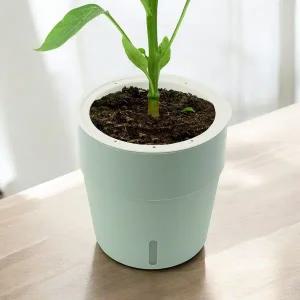 자동급수 화분 식물 저면관수 원형 화원 화분심지화분