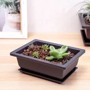 다육이 미니 화분 모던 디자인 심플 사각 실내 인테리어 소품 1217