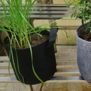 부직포 화분 2개 식물 가드닝 화분셋트 분갈이화분 뿌리야채화분