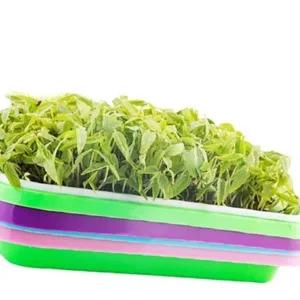 재배용 새싹 트레이 실내 식물 재배 받침대 기르기 용기