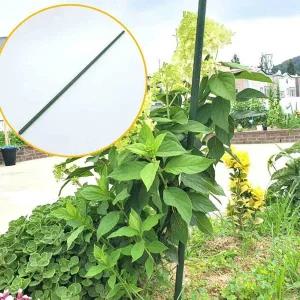 [골드스마일]굵은 텃밭 화분 식물지지대 120cm 3P 오이 토마토