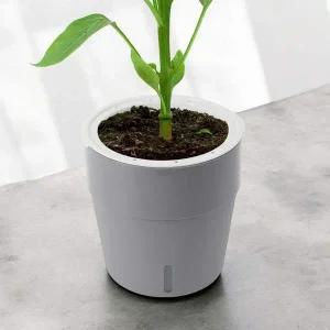 저면관수 화분 받침 정수 자동급수 화분 5개 인테리어화분