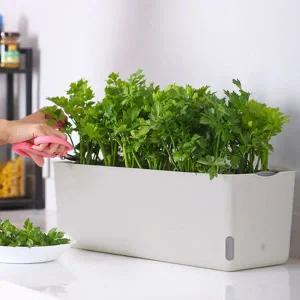 자동급수 화분 텃밭 캐릭터 베란다 테라스텃밭화분 옥상텃밭화분