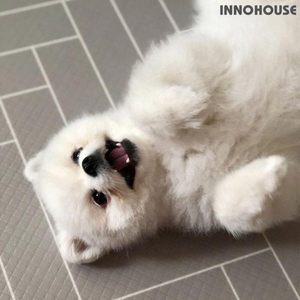 [이노하우스] 프렌즈 애견매트 강아지매트 (대)