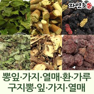 뽕나무잎 뽕잎 꾸지뽕 구지뽕나무 뽕잎가루 뽕잎환 상지 뽕나무가지 상백피