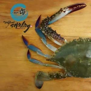 서해안 가을꽃게 생물 2kg(7~10미)