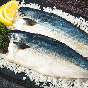 순살 안동 간고등어 120g * 24팩 특대