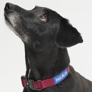 폴인럽 메탈버클 강아지 대형견 소형견 목줄