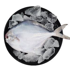 목포 참병어 3미 (횟감용) 손질세척 편리하고 스킨포장으로 신선한 신안병어