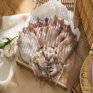 오바다 반건조 피데기오징어 85g~95g X 10마리