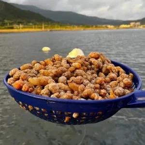 당일조업 오만둥이 1kg