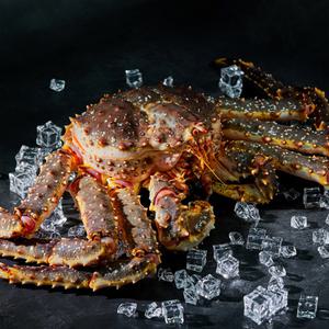 러시아 프리미엄 레드 킹크랩