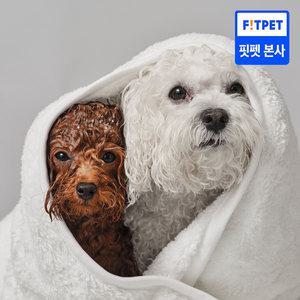 헤이테일 강아지 고양이 수건 목욕타올 극세사 펫타올 M