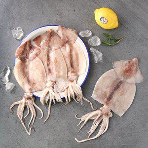 자연산 간편 손질 통오징어 8미 1.08kg (270g*4팩)