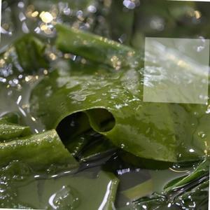 vb 완도 미역 150g 식자재 업소용 식재료 식당용 대용량 단체 급식용