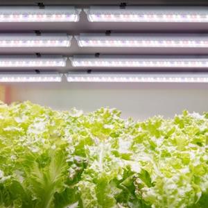 LED 화초재배용 다육이 식물등 8개세트