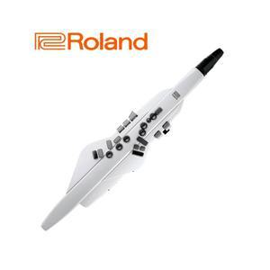 롤랜드 전자색소폰 에어로폰 AE20 화이트
