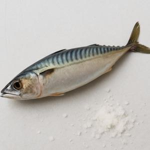 국내산 부산 손질 고등어 가정용 12마리 6손/1미당 210g내외