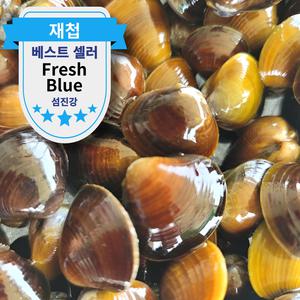 섬진강 활 재첩 1kg 2kg 국내산 생물 생재첩