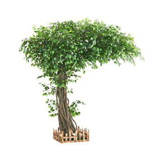 인조나무 조화나무 소원트리 인테리어 너비 90 거실 높이 무대 길이 베란다 대형 조경자재