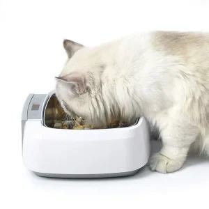 강아지 물그릇 보온 대형 야외 얼지않는 온도조절 가열 온열 그릇 식기